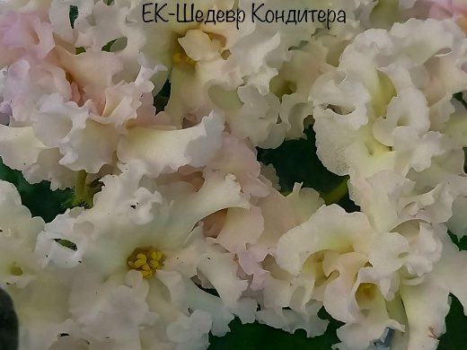 ЕК-Шедевр Кондитера