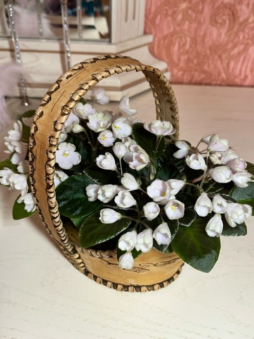 Н-Подснежник