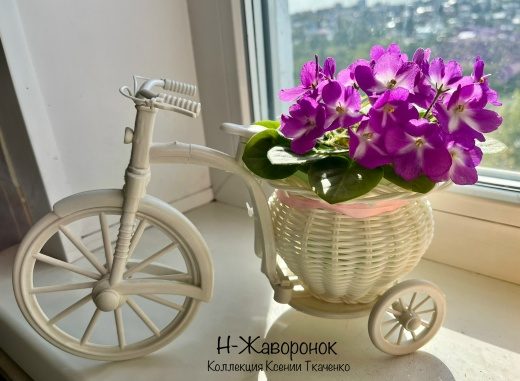 Н-Жаворонок
