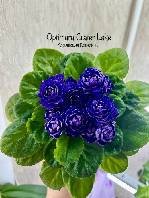 Optimara Crater Lake
