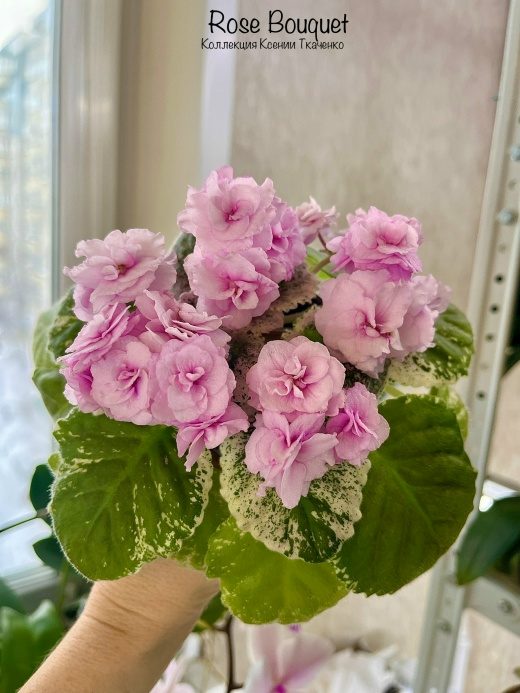 Rose Bouquet